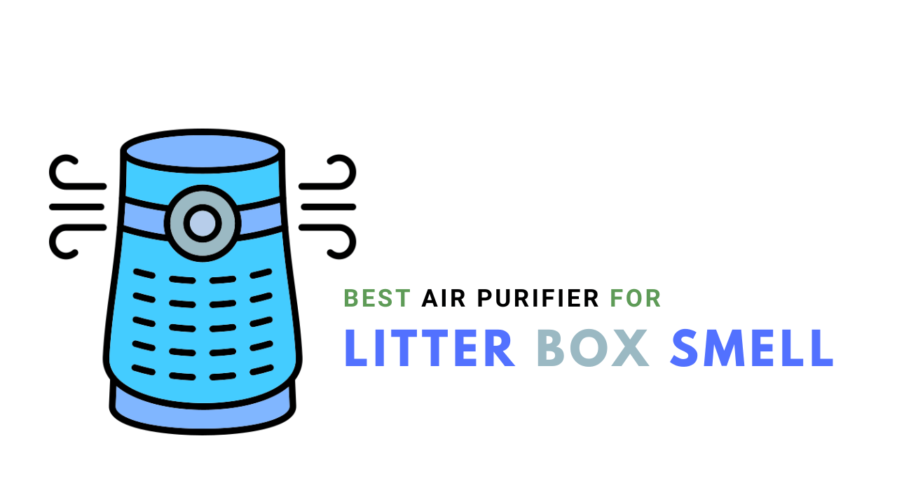 Best Air Purifier for Litter Box Smell 2023 - Top 5
